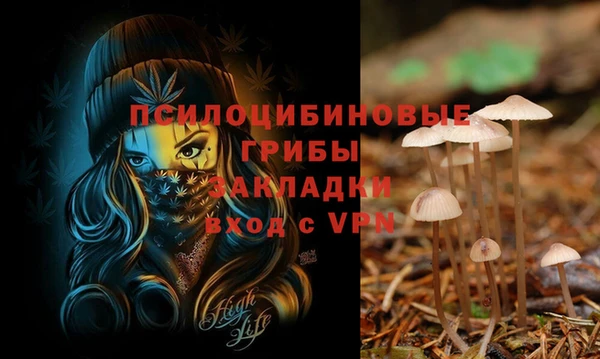 прущая мука Алексеевка