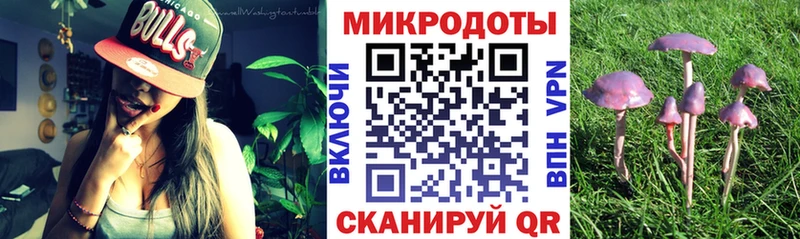 Псилоцибиновые грибы MAGIC MUSHROOMS  дарнет шоп  Чапаевск 